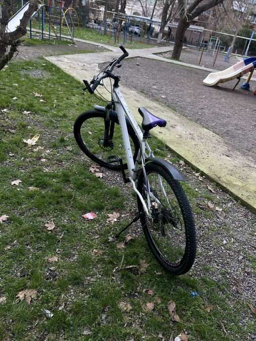 Velik 29 razmerda ideal holatda