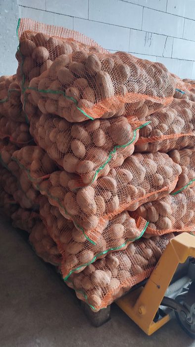 Cartofi consum si samanta Bella Rosa si Vineta