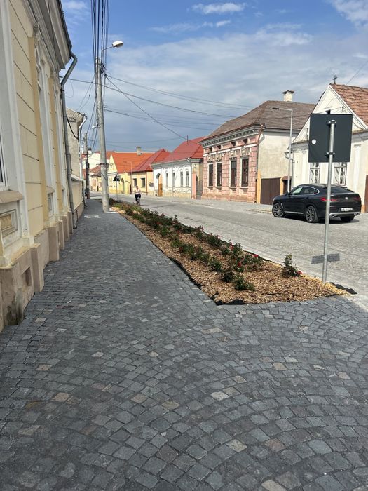 Piatra cubica 10x10x5
