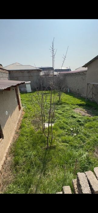 Yashnabod tumani Tuzelda 2.1 sotix yer sotiladi