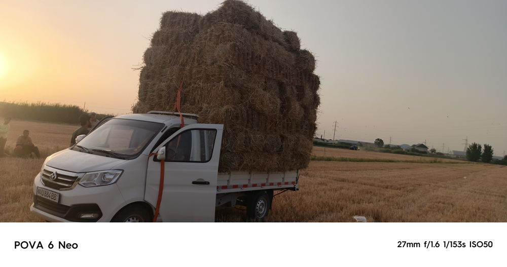 Changan labo sotiladi