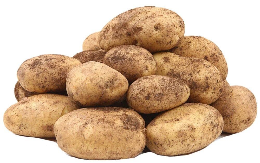 Домашняя картошка