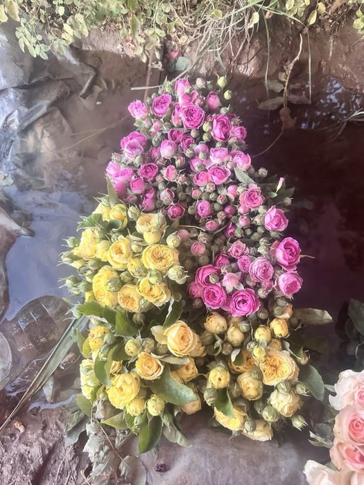 atir gullar har xil turdagi kochatlar