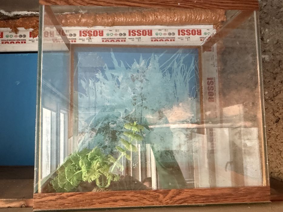 Продам аквариум