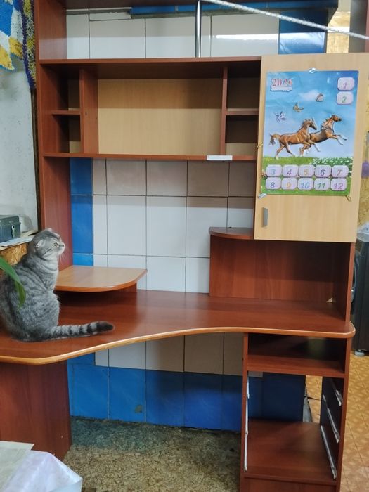 Компьютерный стол