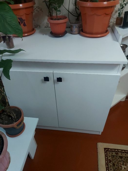 Кухонная мойка с тумбой