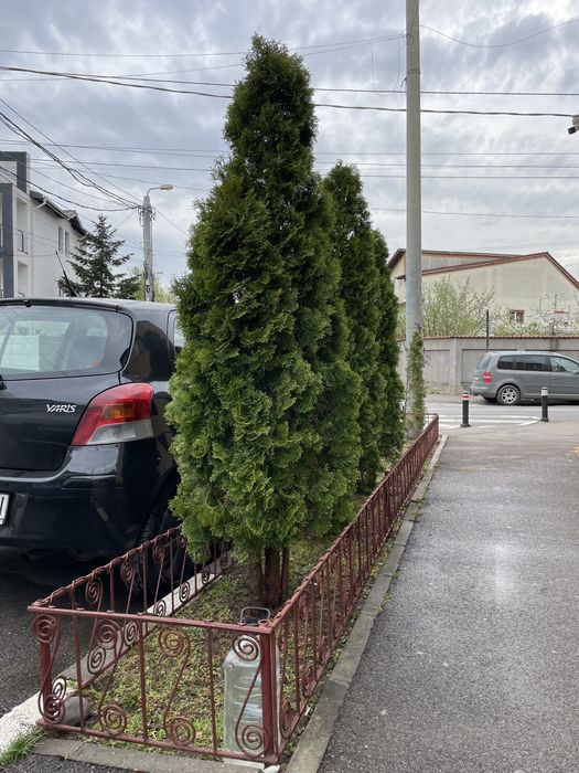 Vand Toyota Yaris 1.3 Benzina