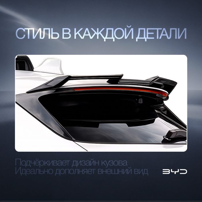 Багаж спойлер для Byd Champion