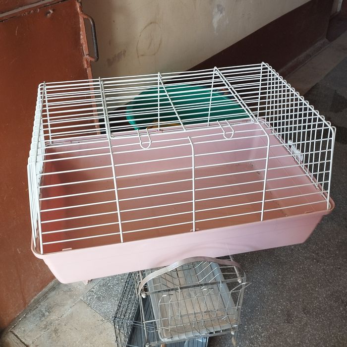 Клетки две штуки,для кроликов и попугаев.