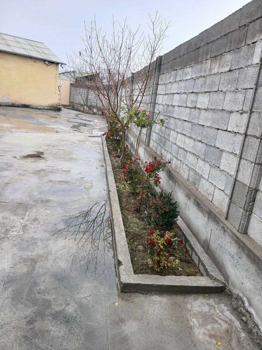 5,5 сотикли ховли уй сотилади