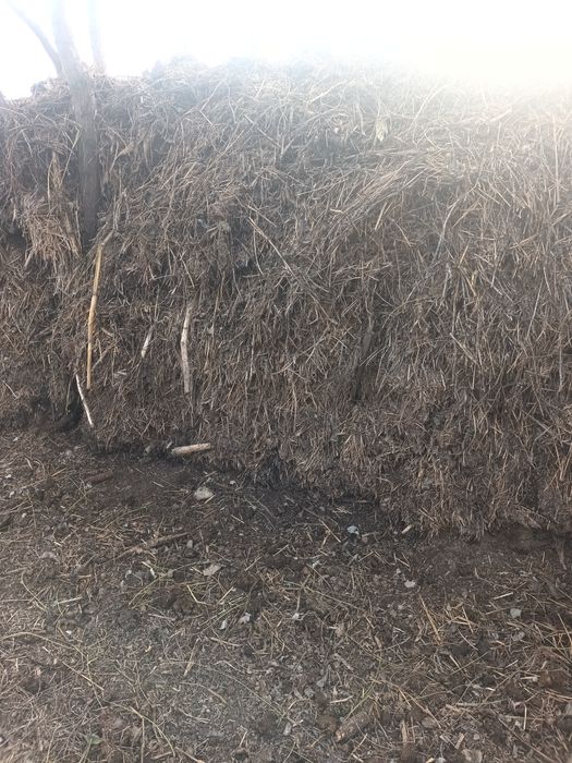 Gunoi de grajd  super pret