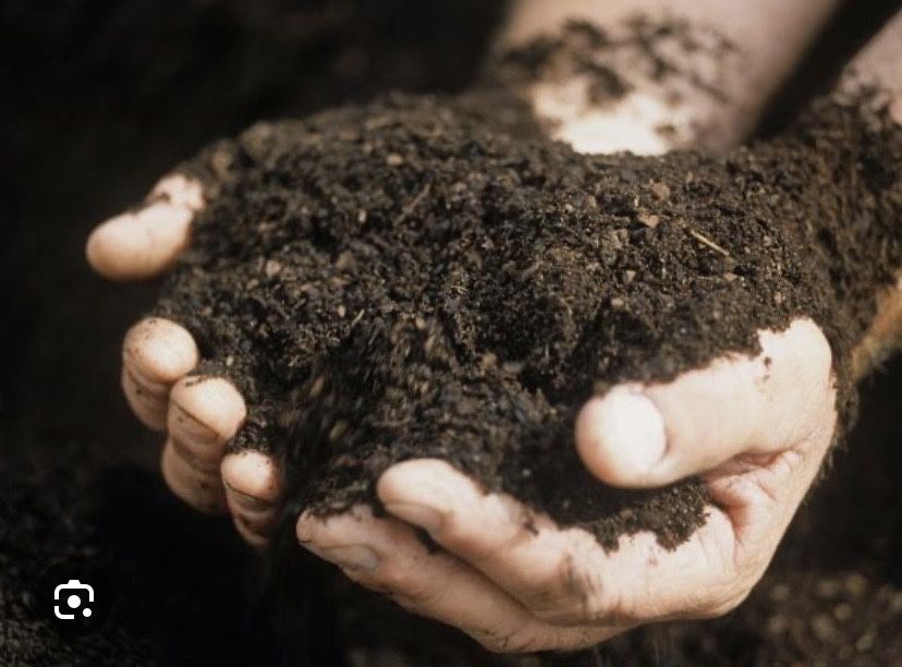 Навоз. Перегной.