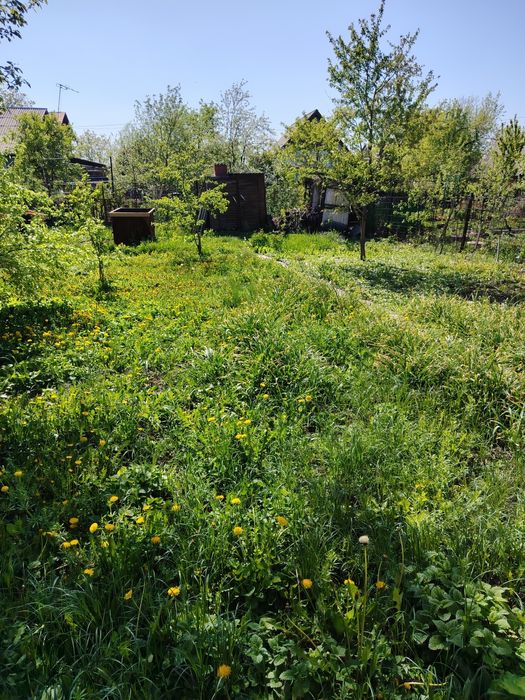 Продам уютную дачу