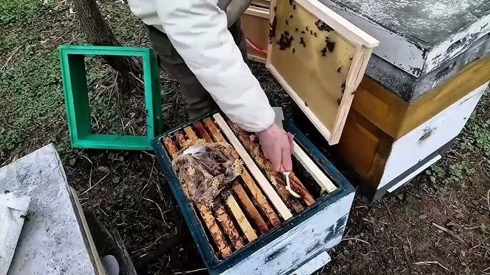 Пчелиные ульи б/у