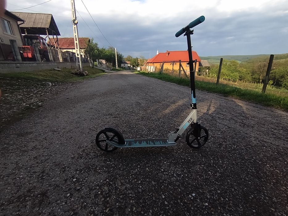 Trotineta normal pentru adulți