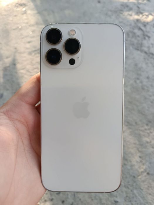 iPhone 13Pro Max 512GB