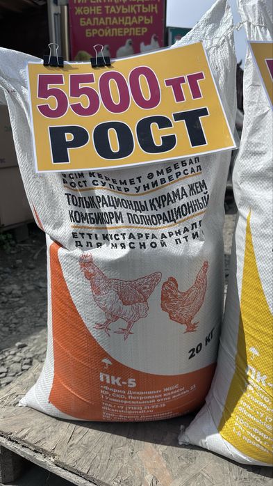 Корм Богданович ,Диканшы