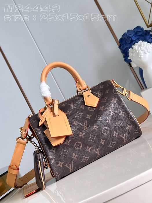 Geanta Louis Vuitton Speedy 25cm, tip Premium
