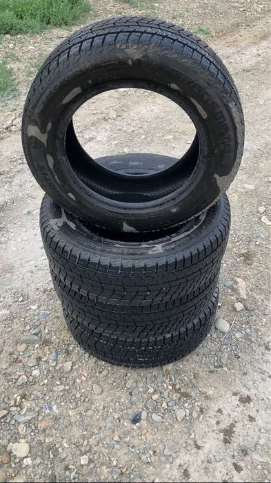Шины зимни.