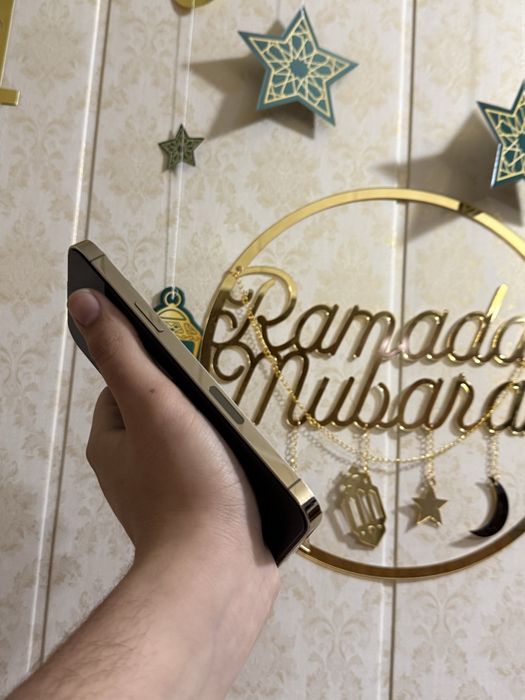 Iphone 13 pro max 87% LLA