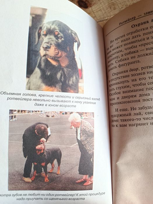Книги  ротвейлер