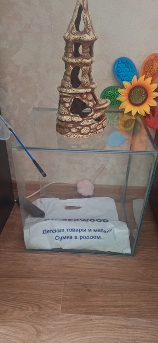 Аквариум  50л , продам