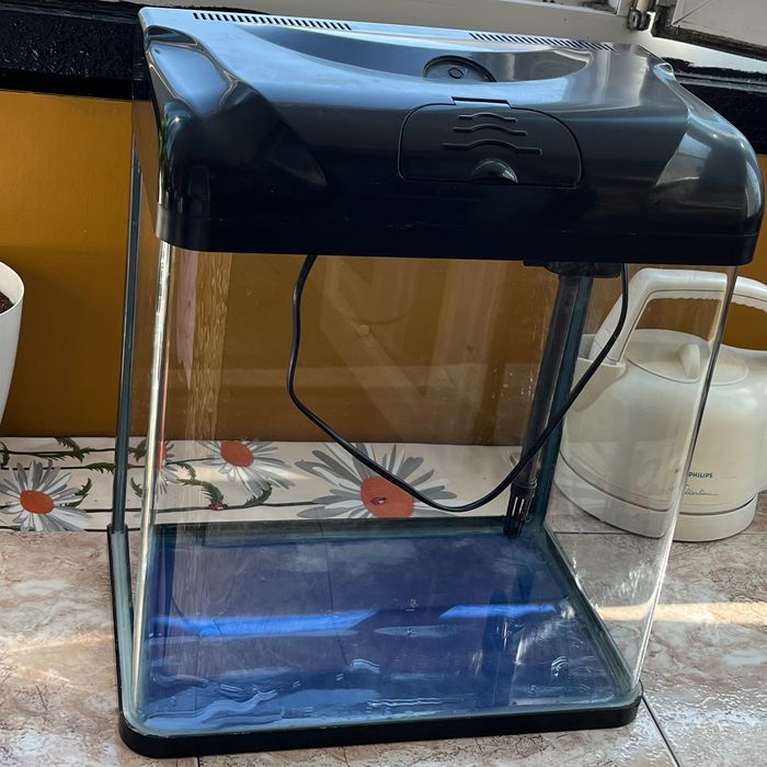 Аквариум за рибки