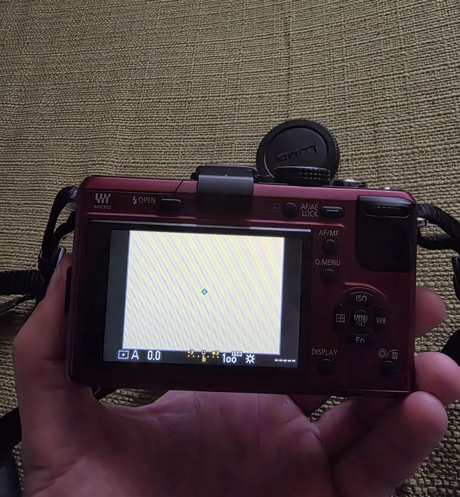 Panasonic Lumix DMC-GF1 Mirroless Body Aparat Foto Accesorii Drumetie