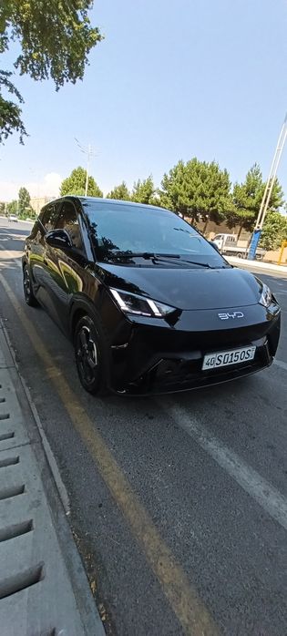 BYD Seagull 2024