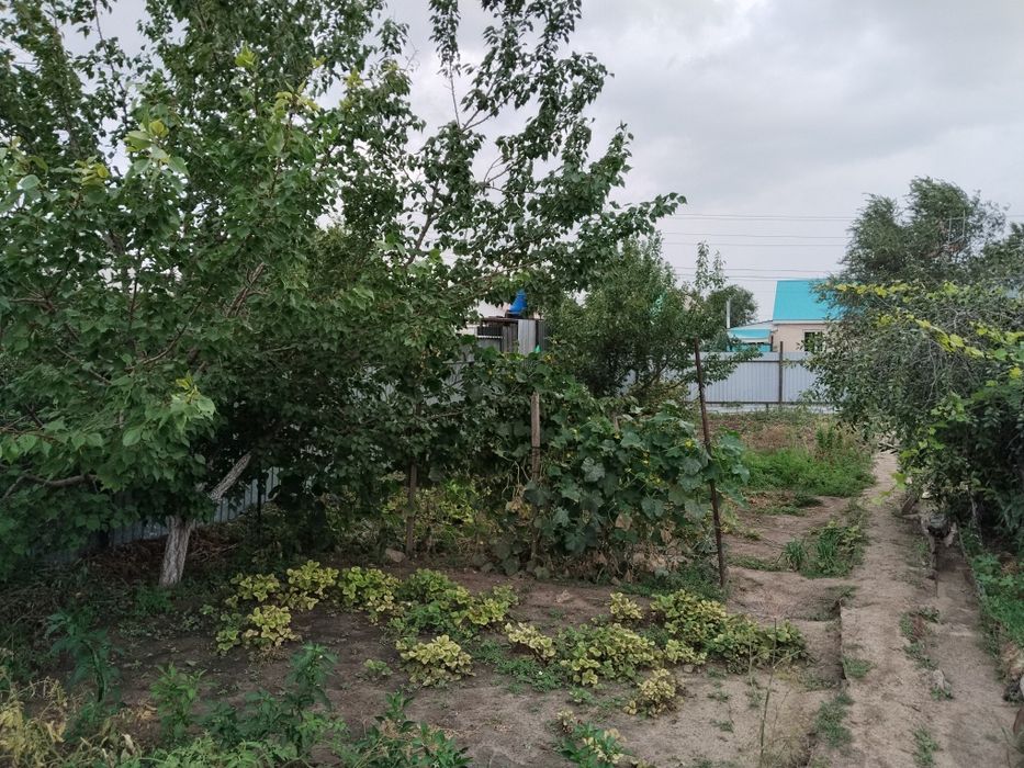 Продам дачный участок