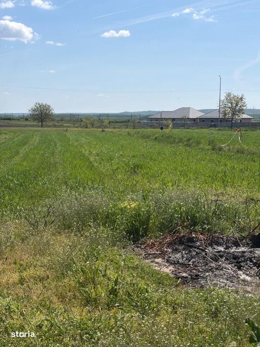 Teren 1000mp ,la intrarea in Filiasi