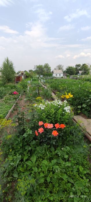 Продам ДАЧУ общество НАТУРАЛИСТ