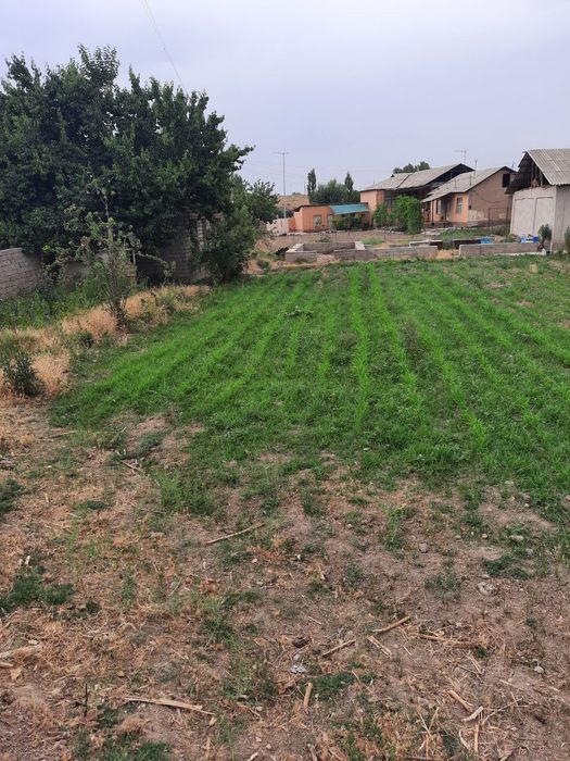 Yashash maydoni 8 sotik