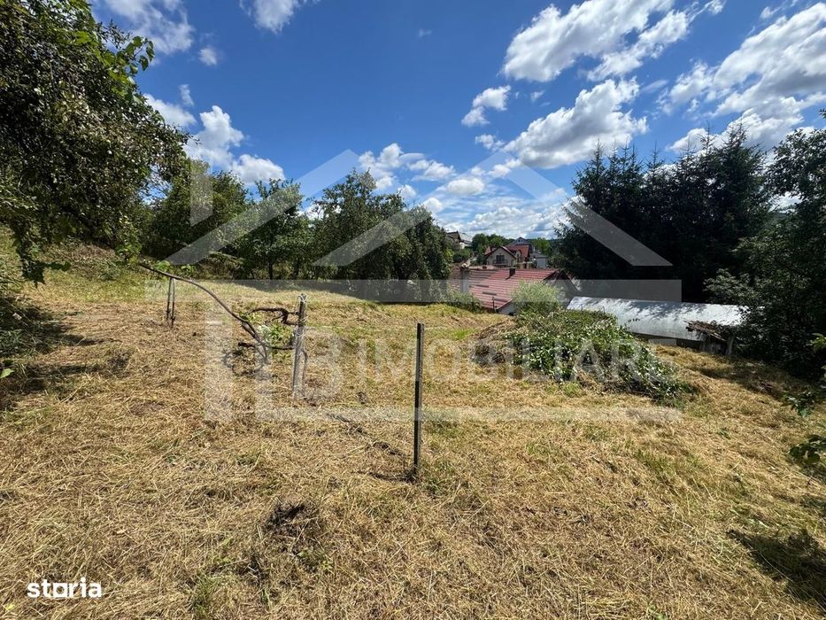 Casa cu 3 camere, 2300mp teren, zona SubPadure
