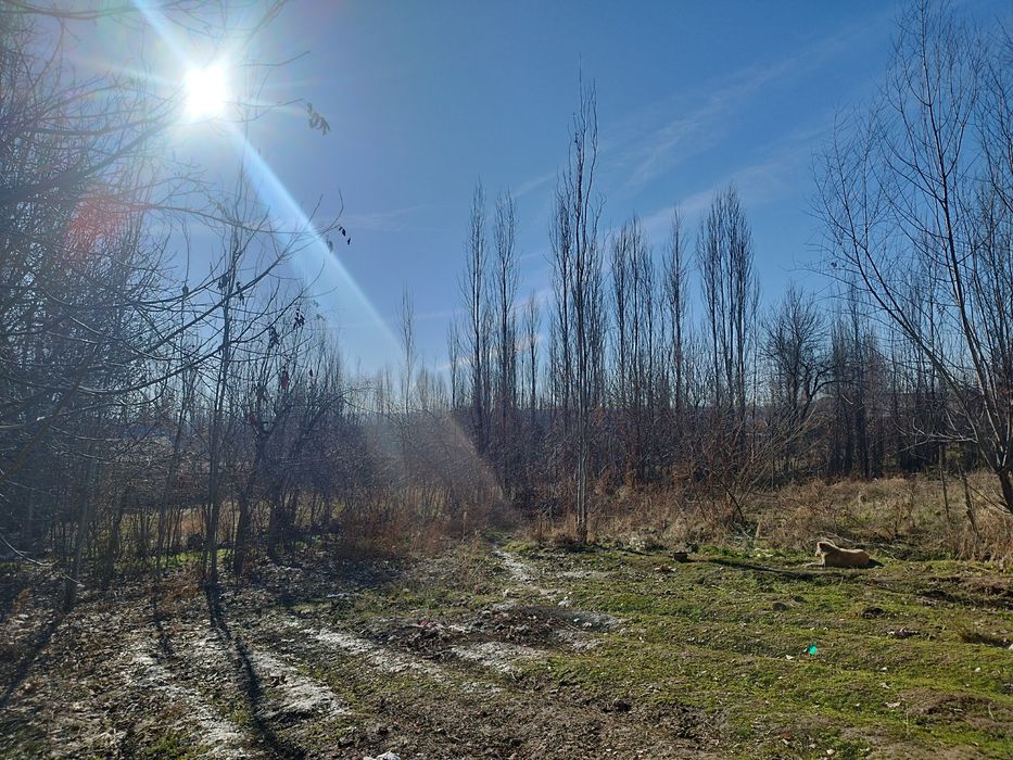 Sroshna sotiladi uchastka