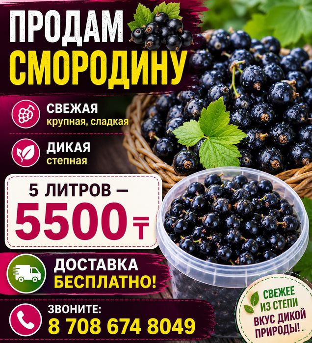 Продам смородину. Свежий дикая.