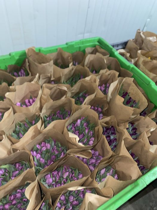 Оптом Астана самый крупный в астане