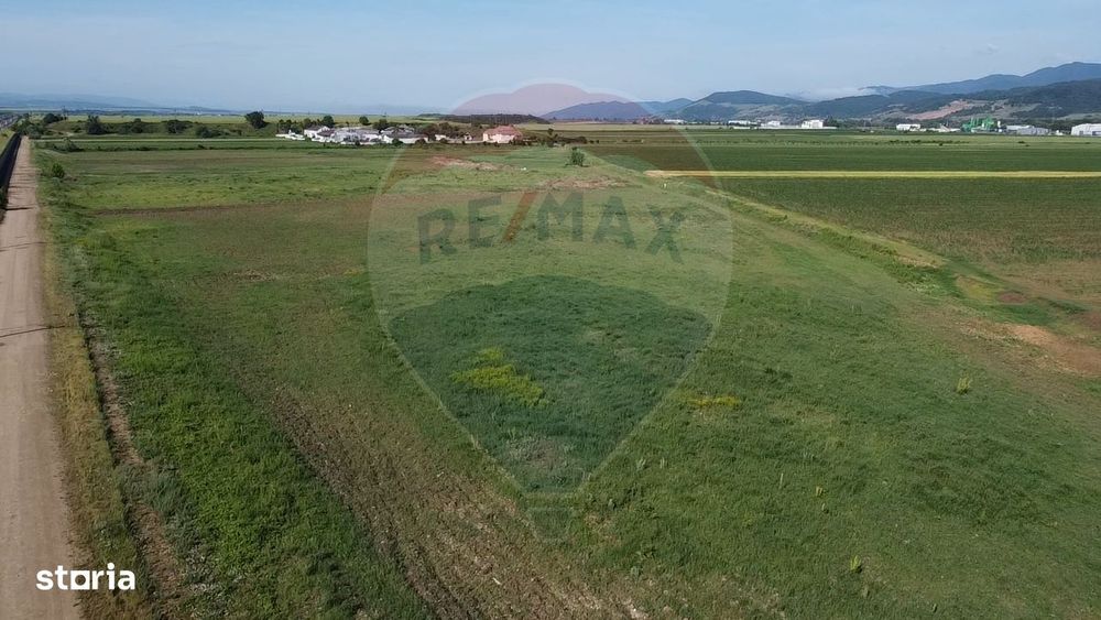 Teren 39,500mp Vintu de Jos