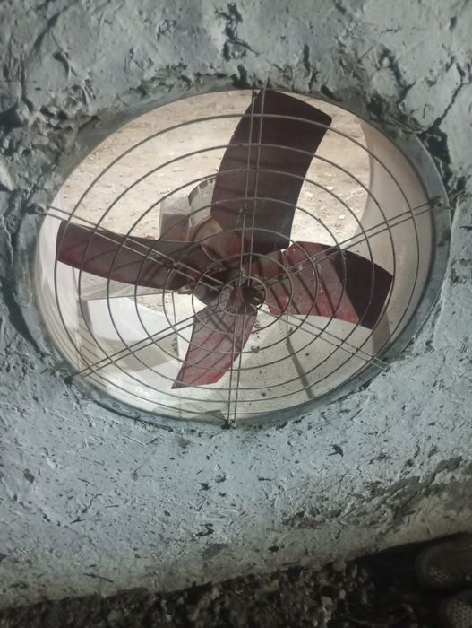 Vintilyator havoni soʻradigan kafolat bor