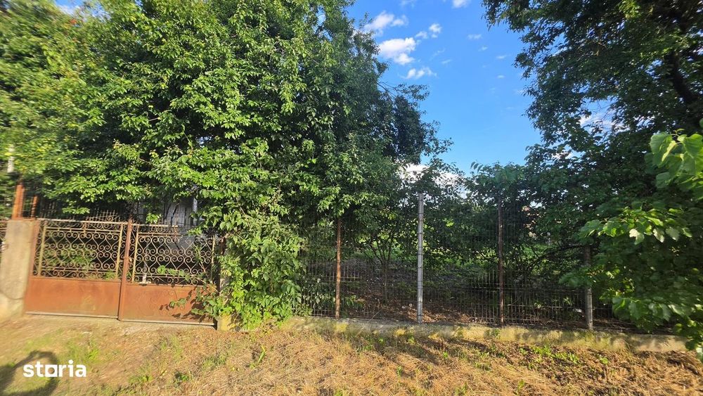 Casă cu potențial, 4 camere, lângă pădure-Jud Giurgiu-Mihai Bravu.