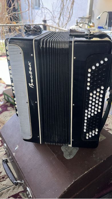 Баян Восток с чемоданом