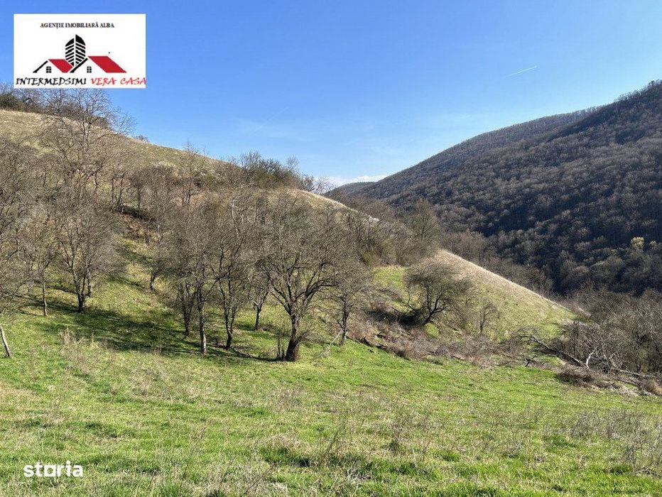 Teren intravilan - extravilan 9,3 Ha de vanzare Matacina Jud Alba