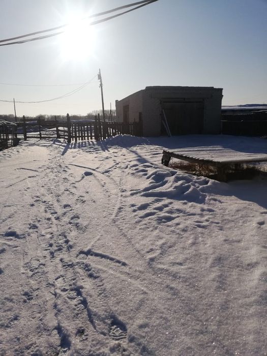 Продам фермерское хозяйство.