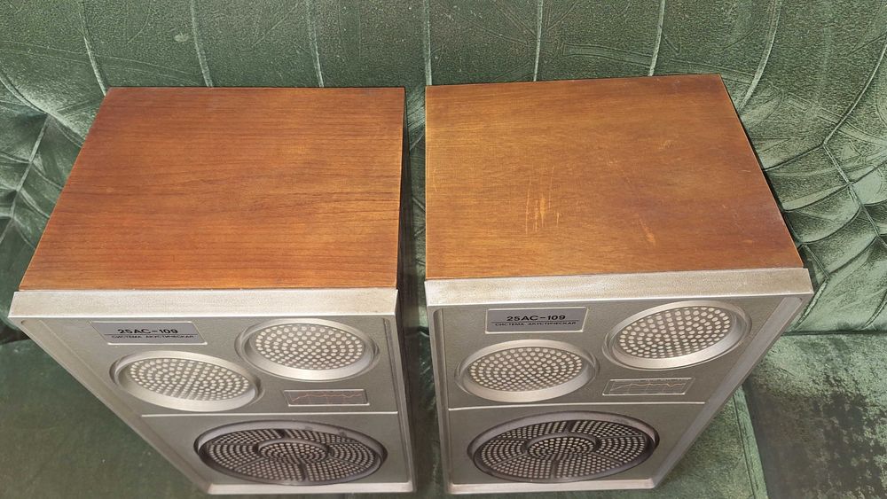 Колонки 25АС-109