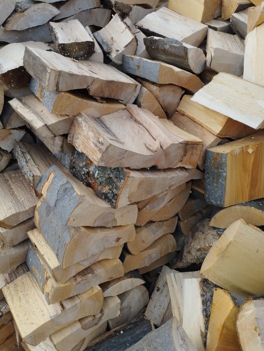 Lemne de foc fag capete doar uscate 600 lei tona