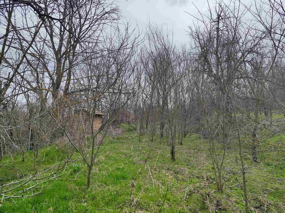 Продава се Къща в Варна, Гръцка махала - 80 кв.м за 375 €/кв.м - Снимка #7