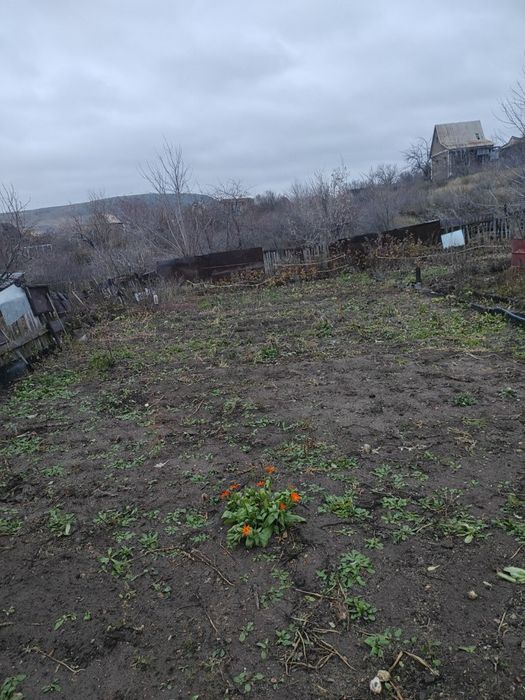 Дача в обществе природа.