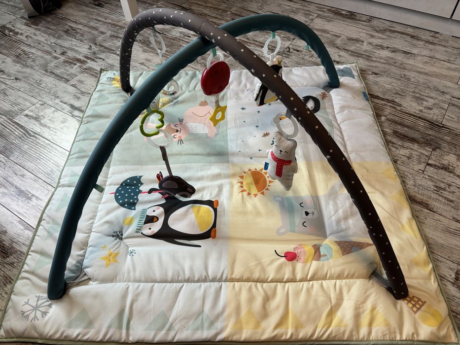 Centru de activitati muzical Taf Toys