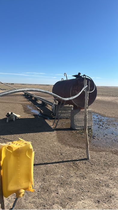 Продам Фазенду с племменными Овцами