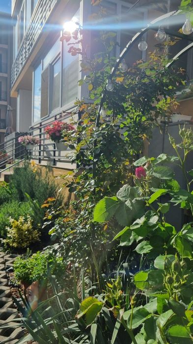 Apartament 56 mp Sector 3 (Parcul Teilor)  + parcare (proprietar)